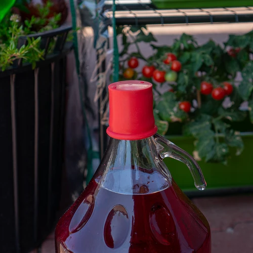 Gaubtas–kamštis balionams ir demižonams – ø 45 mm - 3