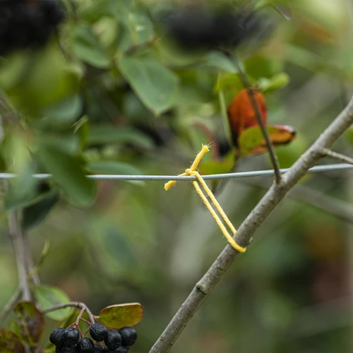 Geltona medvilninė virvelė 2 mm/55 m/100 g - 7