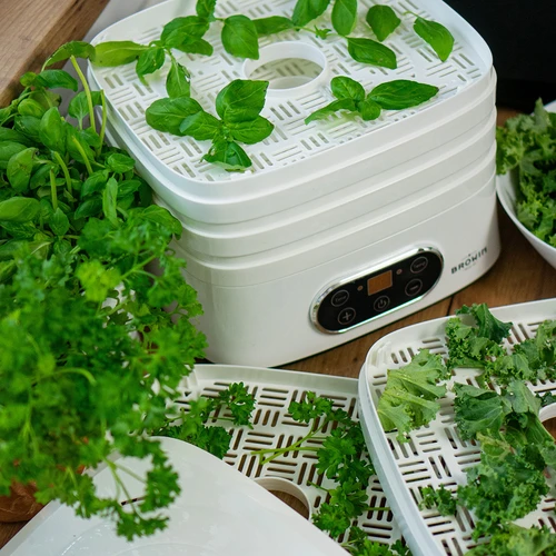 Grybų, vaisių, daržovių ir žolelių džiovintuvas su temperatūros reguliavimu, 240 W, baltas - 23