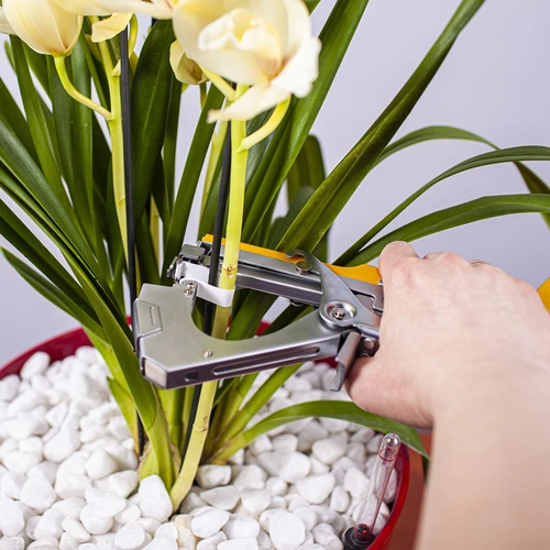 Kabės sodininkų segikliui - 10000 vnt. - 5