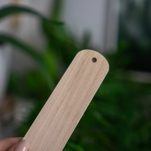 Kambarinis termometras su raštu (-20 °C iki +50 °C) 20 cm - 4