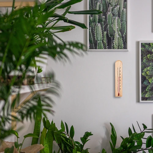 Kambarinis termometras su raštu (-20 °C iki +50 °C) 20 cm - 5