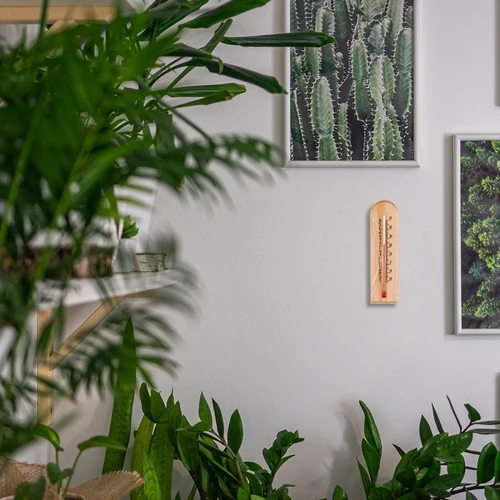 Kambario termometras su raštu (-20 °C iki +50 °C) 15 cm - 6
