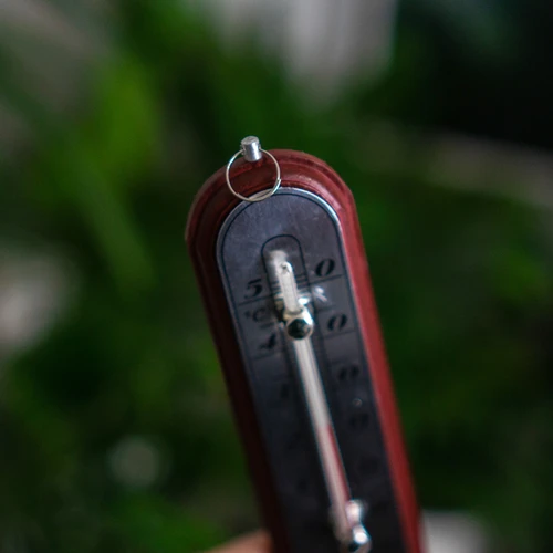 Kambario termometras su sidabrine skale (nuo -10 °C iki +50 °C) 16 cm, mišrus asortimentas - 5