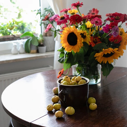 Kamenina – 5 l tiesus puodas su dangčiu - 2