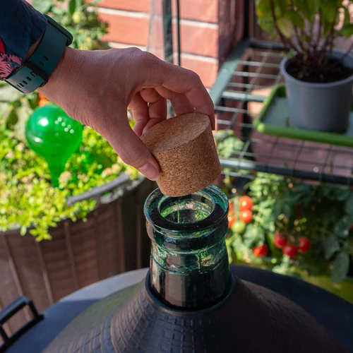 Kamštinis kamštis 55/46mm - 4