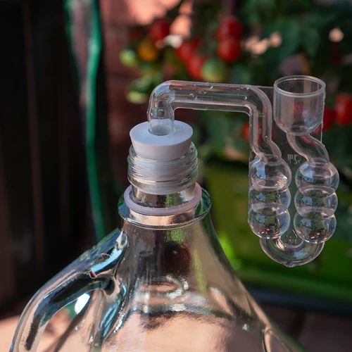 Kamštis demižonui 43/40 mm - 4