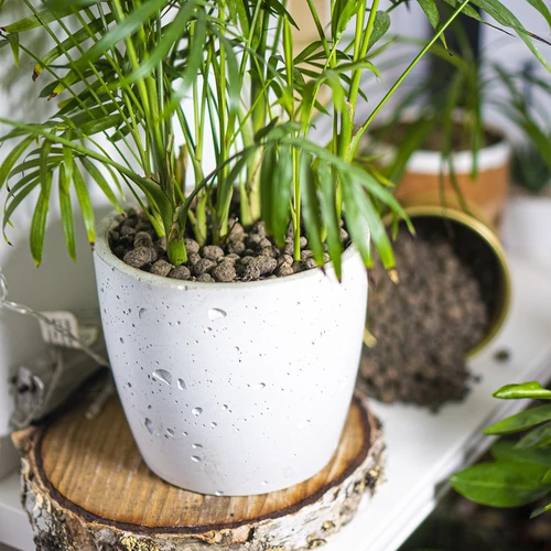 Keramzitas vazoniniams augalams, sodininkystei ir miškams stikle, 10–20 mm, 4L - 11