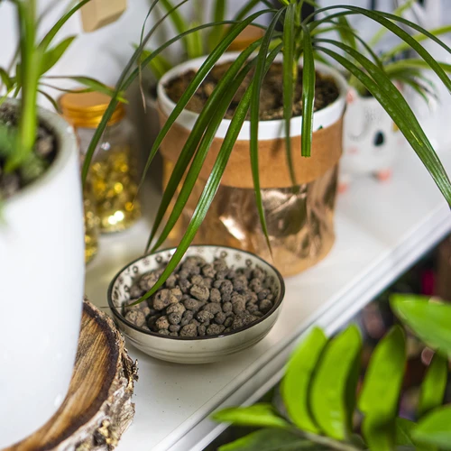 Keramzitas vazoniniams augalams, sodininkystei ir miškams stikle, 10–20 mm, 4L - 12