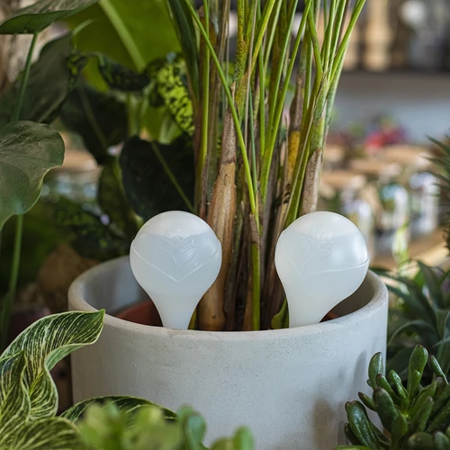 Kula nawadniająca do roślin, biała matowa z ceramiczną nóżką, 400ml - 9