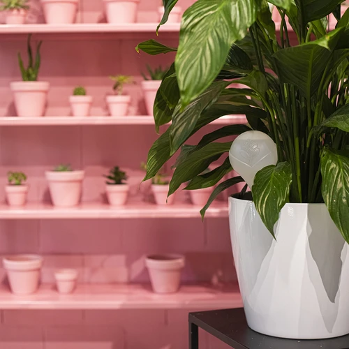 Kula nawadniająca do roślin, biała matowa z ceramiczną nóżką, 400ml - 10