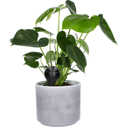 Kula nawadniająca do roślin, czarna matowa z ceramiczną nóżką, 400ml - 7