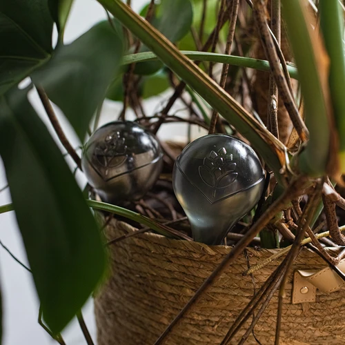 Laistymo burbulai augalams, permatomi juodi, 400 ml, 2 vnt. - 14