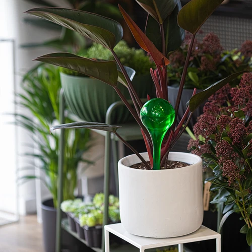 Laistymo burbulai augalams, skaidrūs žali, 400 ml, 4 vnt. - 9