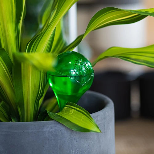 Laistymo burbulai augalams, skaidrūs žali, 400 ml, 4 vnt. - 10