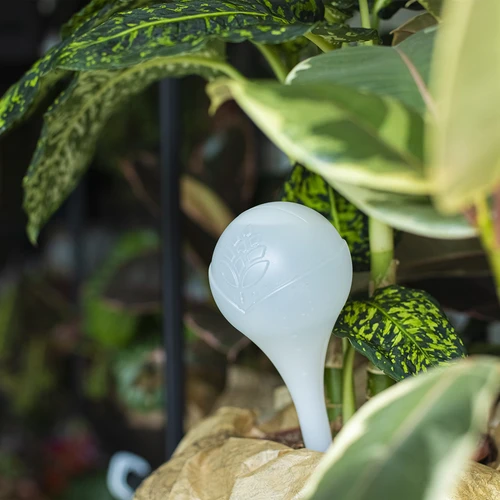 Laistymo kamuoliai augalams, balti, pusiau permatomi, 400 ml, 4 vnt. - 10