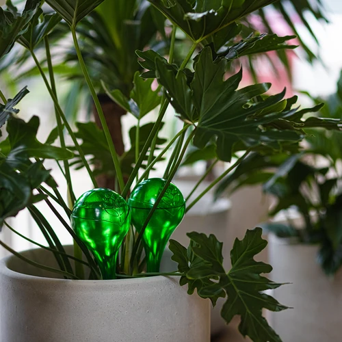 Laistymo kamuoliukai augalams, permatomi žali, 400 ml, 2 vnt. - 13