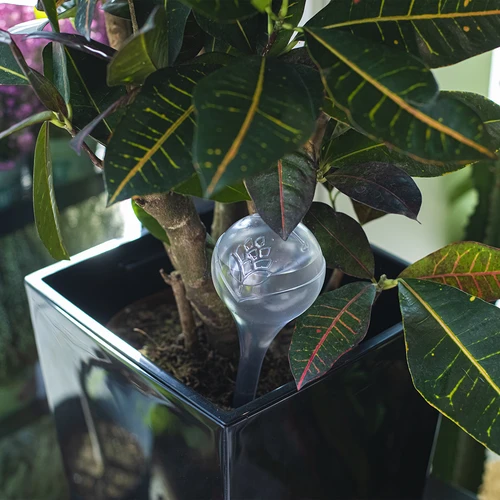 Laistymo kamuoliukai, skaidrūs, 400 ml, 4 vnt. - 9