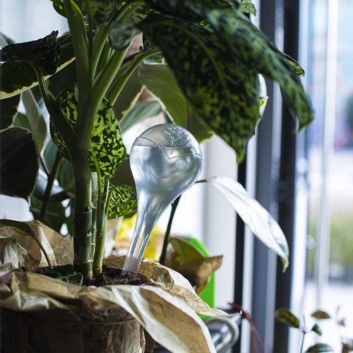 Laistymo kamuoliukai, skaidrūs, 400 ml, 4 vnt. - 11