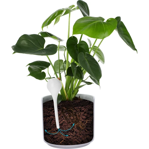 Laistymo rutuliai augalams, balti pusiau permatomi su kamščiu, 400 ml, 4 vnt. - 6