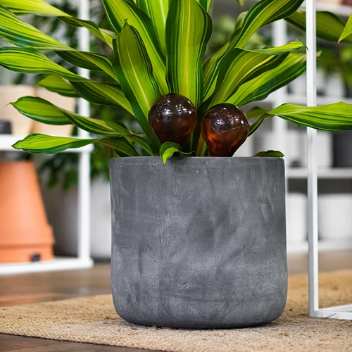 Laistymo rutuliai augalams, gintariniai skaidrūs, 400 ml, 2 vnt. - 13