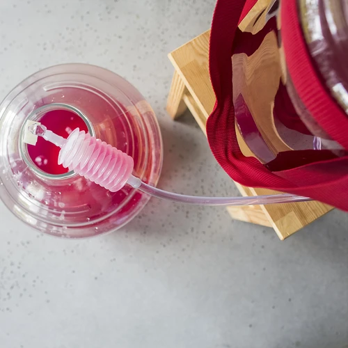 Lengvas, nedūžtantis vyno balionas su nešimo diržais, 25 L - 18