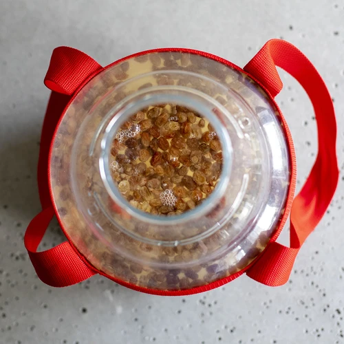 Lengvas, nedūžtantis vyno damižonas su nešimo diržais, 10 l - 18