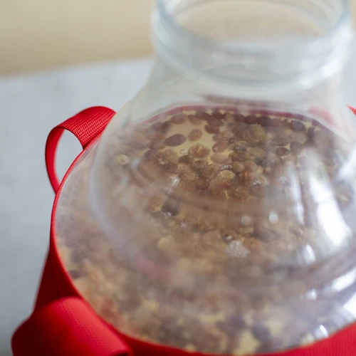 Lengvas, nedūžtantis vyno damižonas su nešimo diržais, 10 l - 17