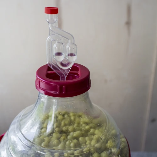 Lengvas, nedūžtantis vyno demižonas su nešimo diržais, 20 l - 14