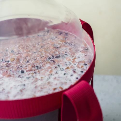 Lengvas, nedūžtantis vyno demižonas su nešimo diržais, 20 l - 17