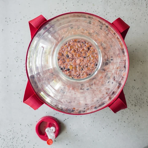 Lengvas, nedūžtantis vyno demižonas su nešimo diržais, 20 l - 18