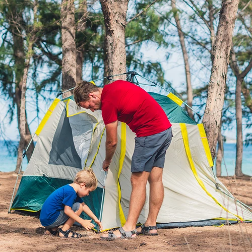 Lenkti palapinės kuoliukai - 10 vnt. - 8