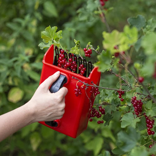 Mašinėlė smulkiems vaisiams rinkti - 8