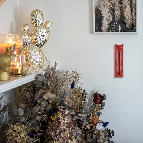 Medinis kambario termometras (-20 iki +50 °C), mahonio spalvos, 15 cm - 7