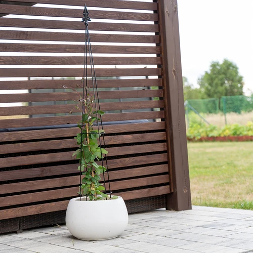 Metalinė pergola - Piramidė, 135 cm - 4