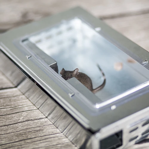 Metaliniai gyvai gaudantys spąstai pelėms - 8