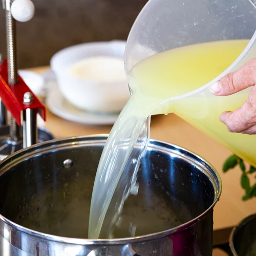 Natūralus skystas pieno krešiklis sūrių gamybai, 50 ml - 5