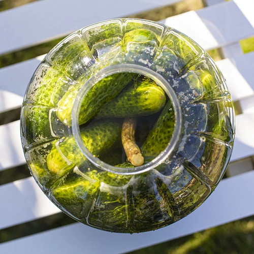 Nedūžtantis, daugiafunkcis fermentacijos stiklainis, 5 l - 5