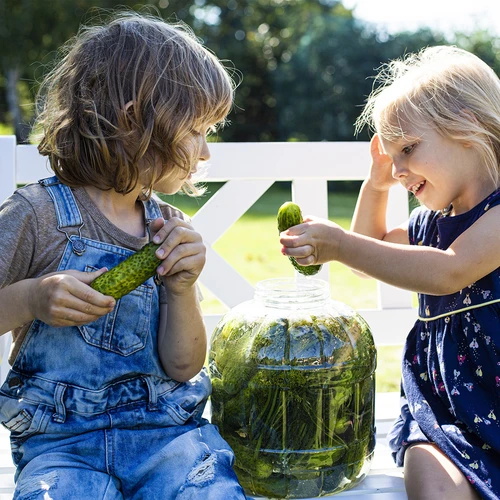 Nedūžtantis stiklainis rauginimui, 3 l - 7