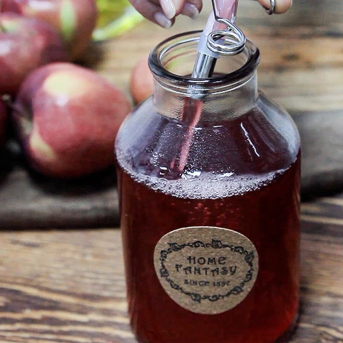 Nerūdijančio plieno sulčių garintuvas su garinimo įdėklu 5 l - 18