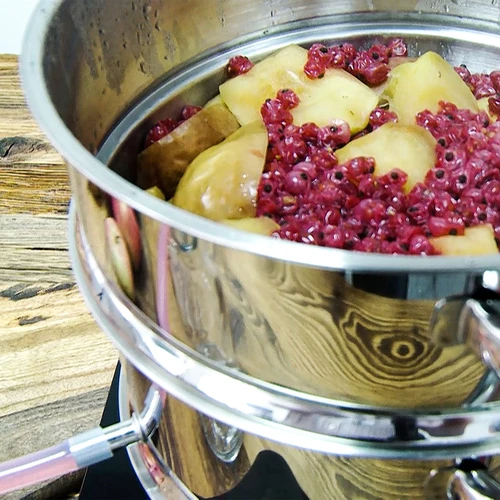 Nerūdijančio plieno sulčiaspaudė 8 L - 15