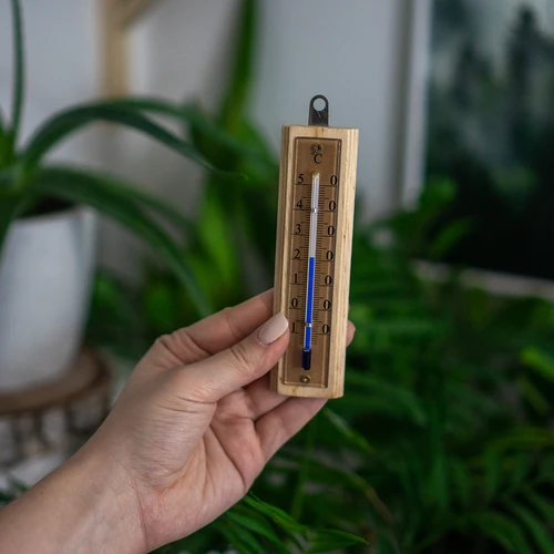 Patalpų termometras su auksine skale (-10 °C iki +50 °C) 12 cm - 5
