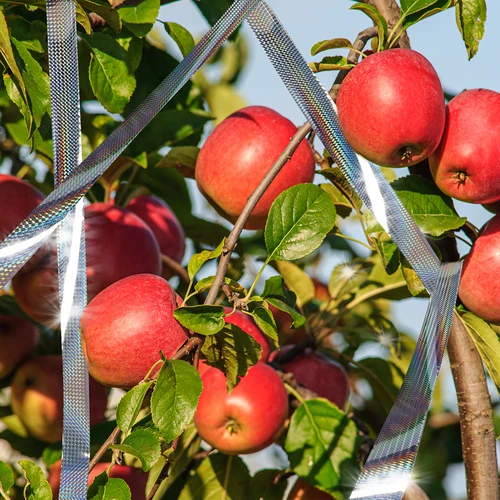Paukščių baidyklė - atšvaitinė juosta, 80 m - 10