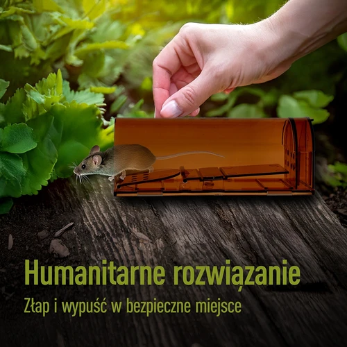 Pelėkautas – gyvagautas, permatomas, 2 vnt. - 7