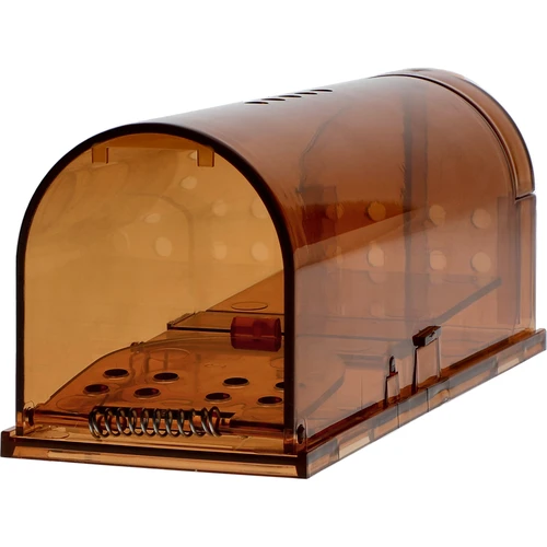 Pelėkautas – gyvagautas, permatomas, 2 vnt. - 3