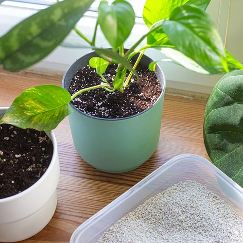 Perlitas vazoniniams augalams ir sodininkystei, 2 l - 8