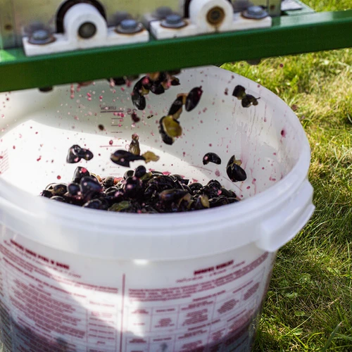 Pojemnik fermentacyjny 30 L z pokrywką i kranem - 16