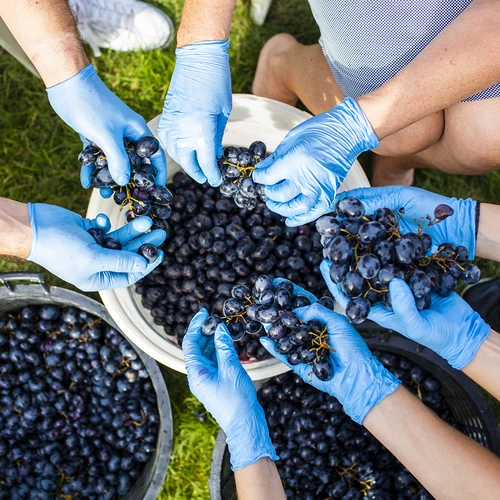 Pojemnik fermentacyjny z pokrywką 30 L - 17