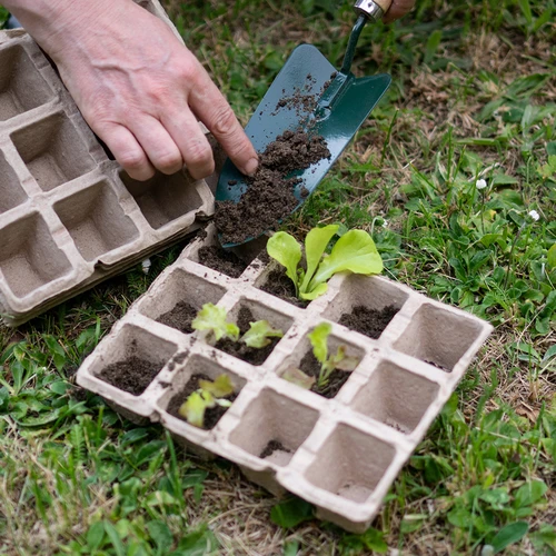 Popieriniai vazonėliai 4,5 x 5 x 4,5, rinkinys 5 vnt. - 5