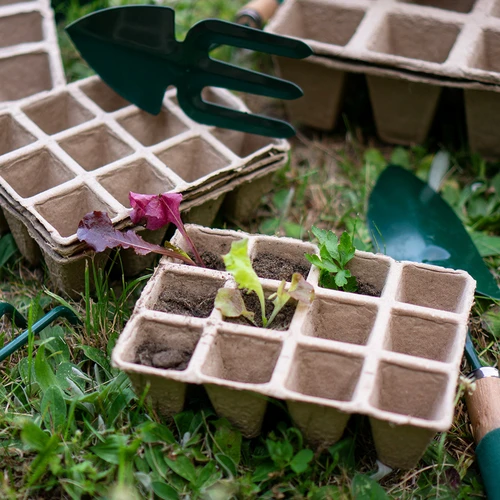 Popieriniai vazonėliai 4 x 4 x 4,5, rinkinys 5 vnt. - 6